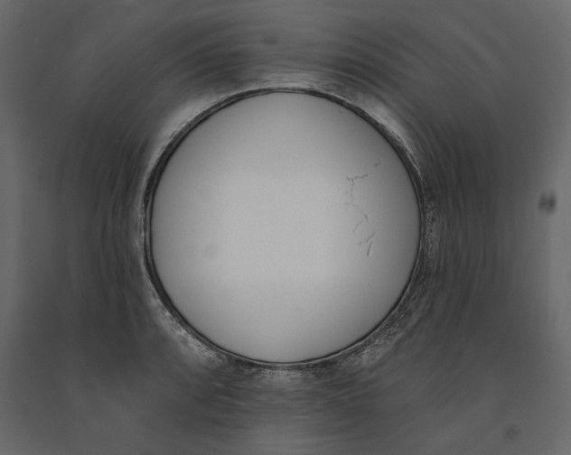 X0000091071088200708271211