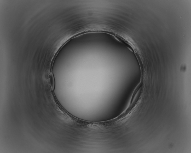 X0000091071089200708271211