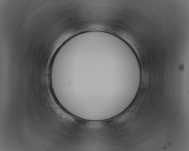 X0000091071090200708271211