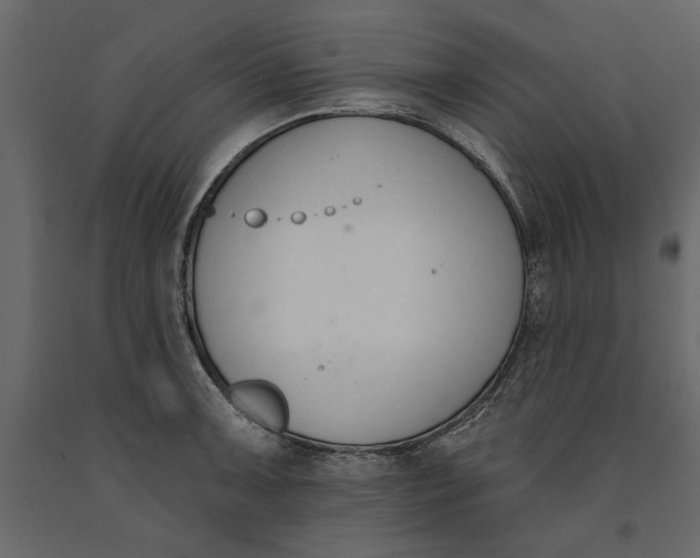 X0000091071091200708271211