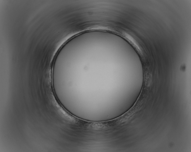 X0000091071092200708271211