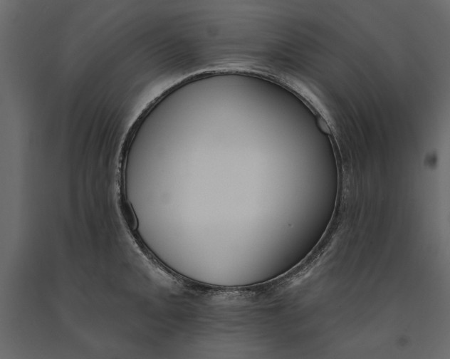 X0000091071093200708271211