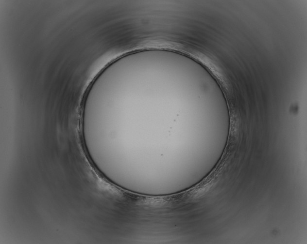 X0000091071094200708271211