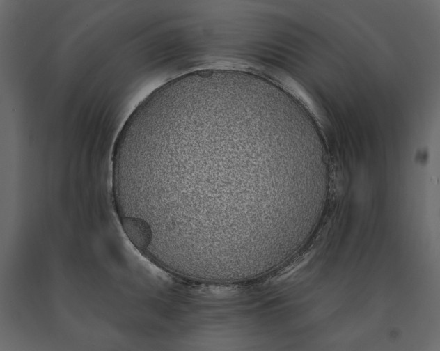 X0000091071095200708271211