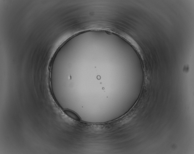 X0000091071096200708271211