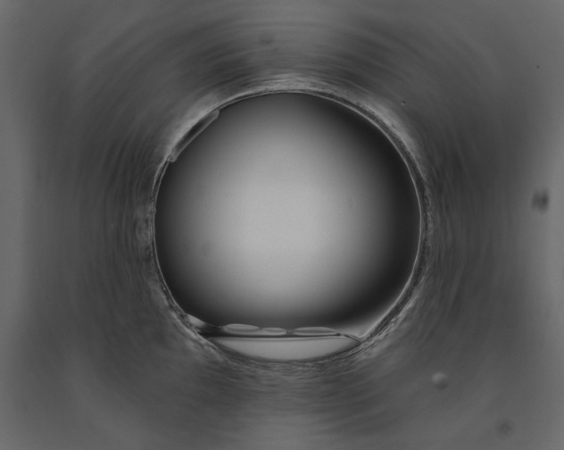 X0000091071097200708271211