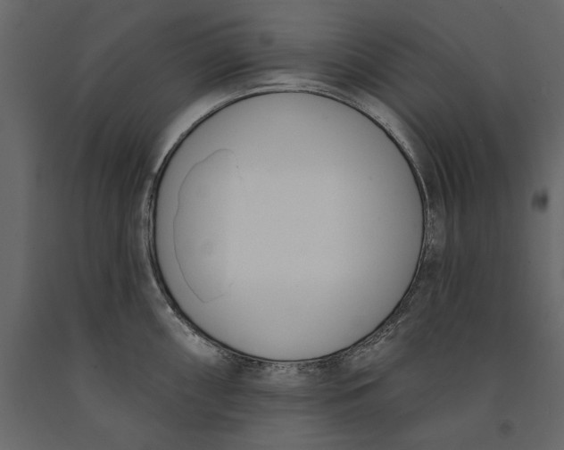 X0000091071098200708271211