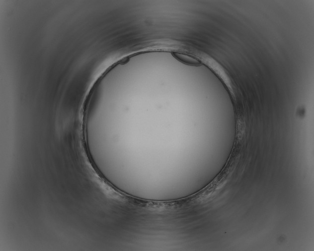 X0000091071099200708271211