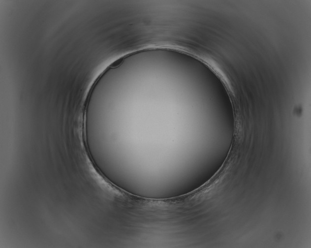 X0000091071100200708271211