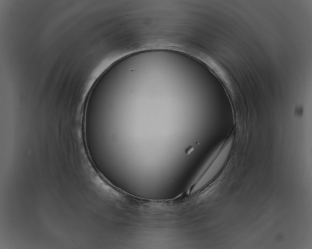 X0000091071102200708271211