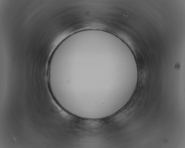 X0000091071103200708271211