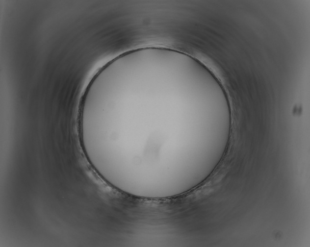 X0000091071104200708271211