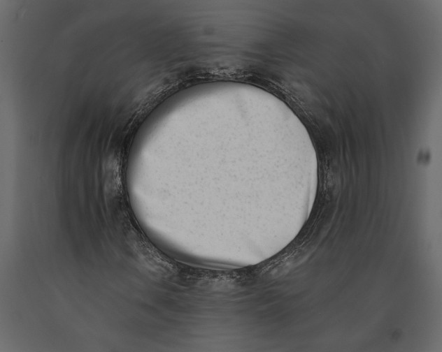 X0000091071106200708271210