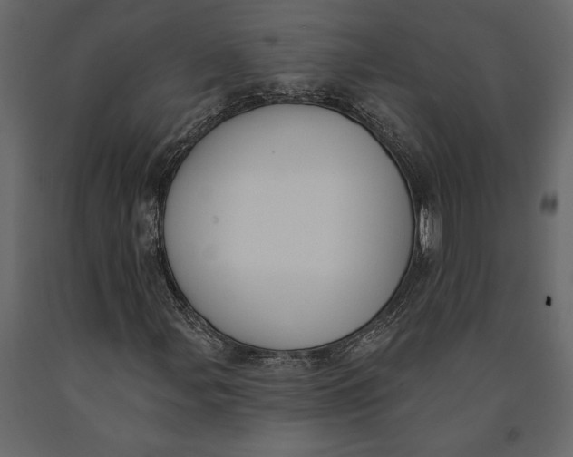 X0000091071107200708271210