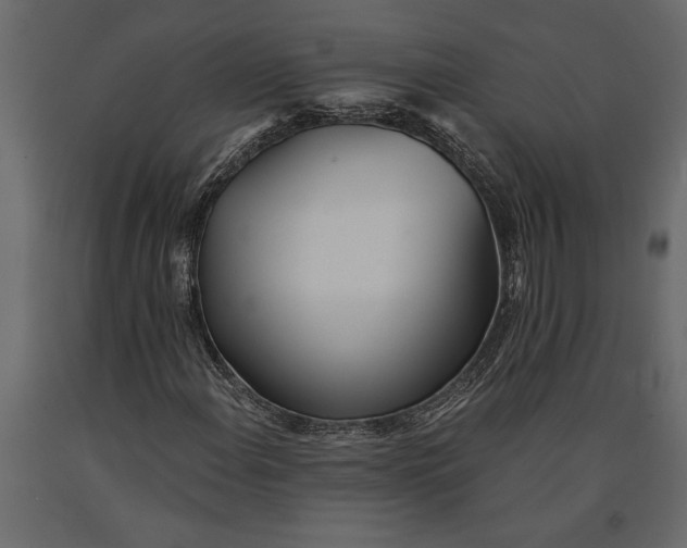 X0000091071108200708271210