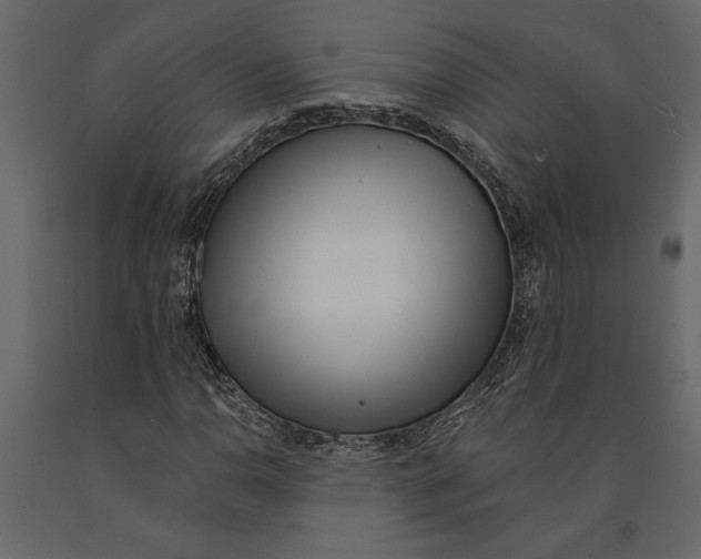 X0000091071110200708271210