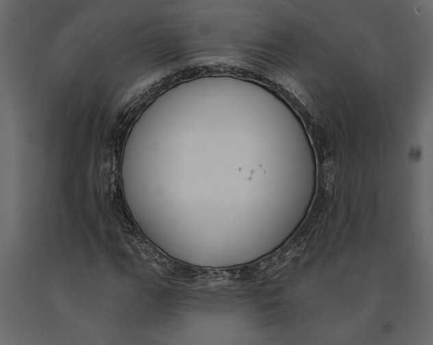 X0000091071111200708271210