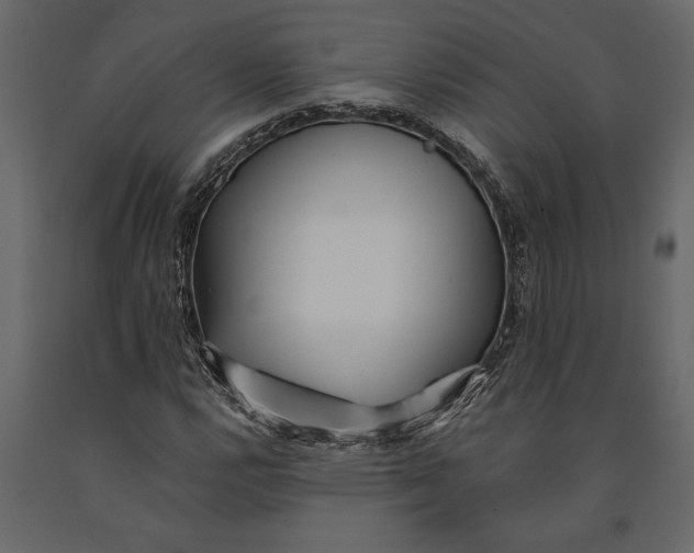 X0000091071112200708271210