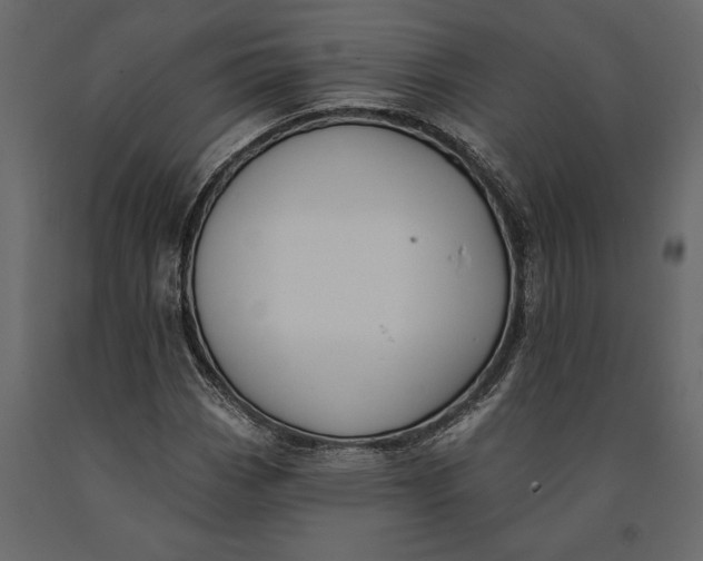 X0000091071113200708271210