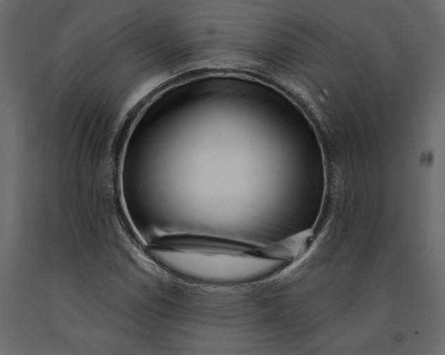 X0000091071114200708271210