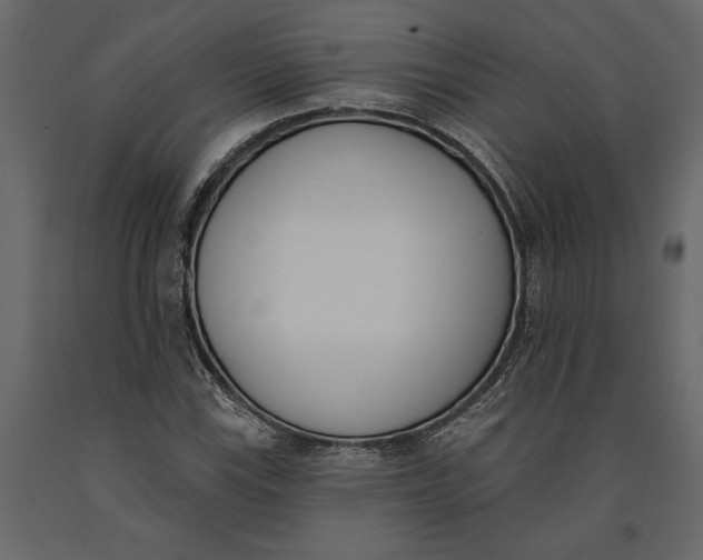 X0000091071115200708271210