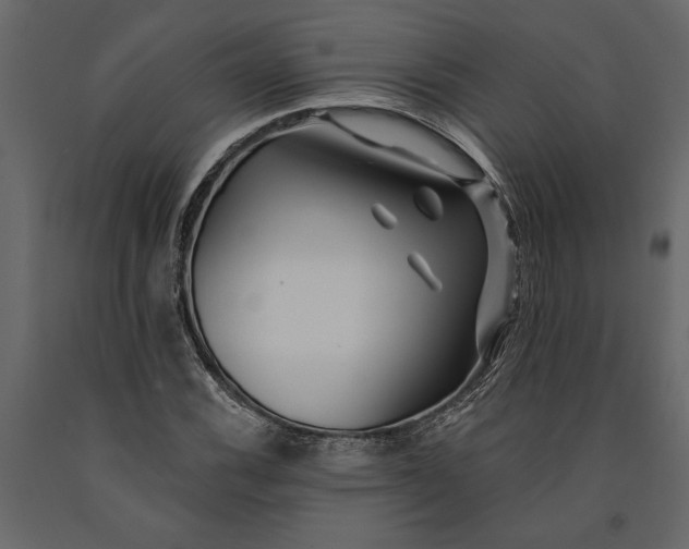 X0000091071116200708271210