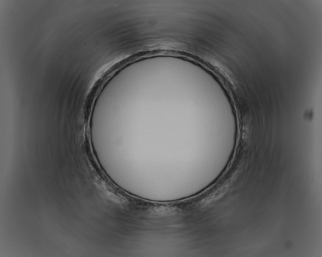 X0000091071117200708271210