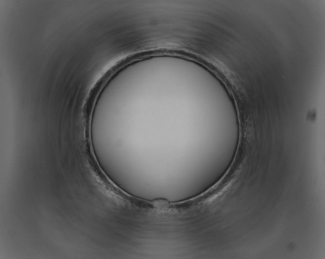 X0000091071118200708271210