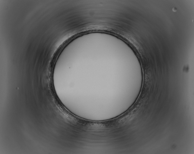 X0000091071119200708271210