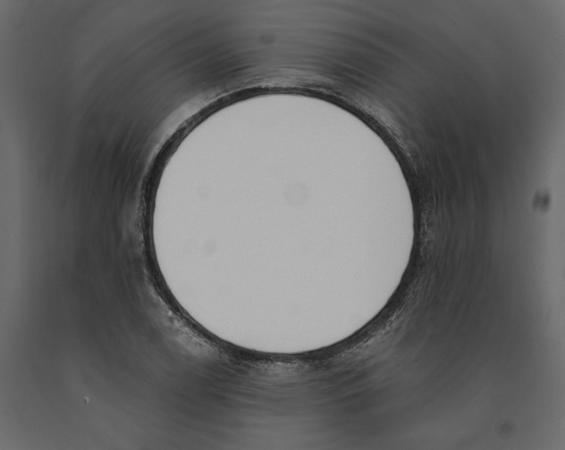 X0000091071122200708271210