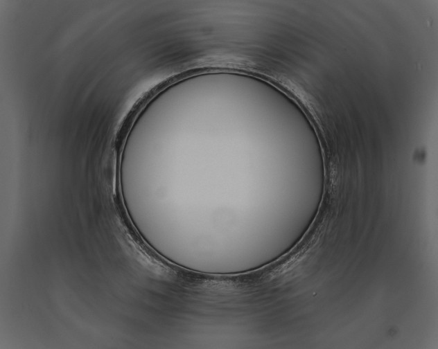 X0000091071123200708271210