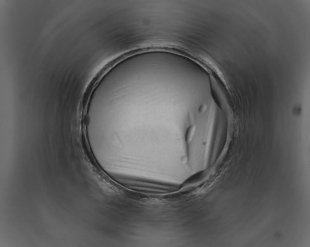 X0000091071124200708271210