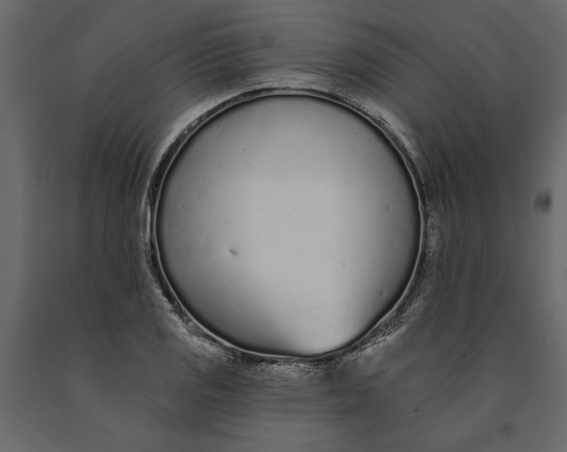 X0000091071125200708271210