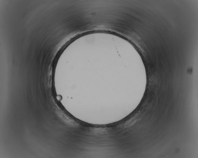 X0000091071126200708271210