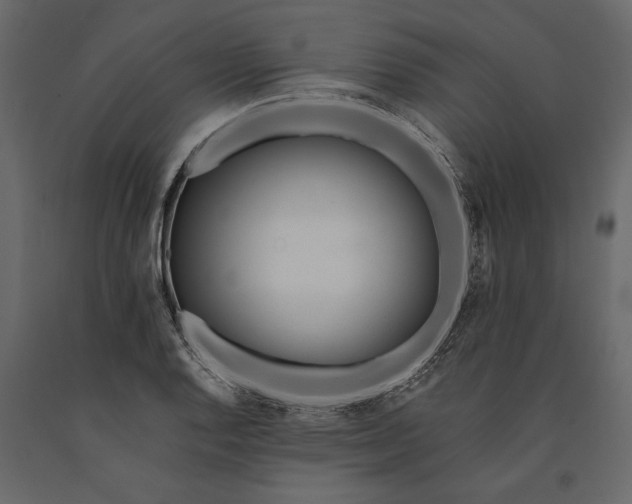 X0000091071128200708271210