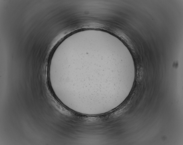 X0000091071130200708271210