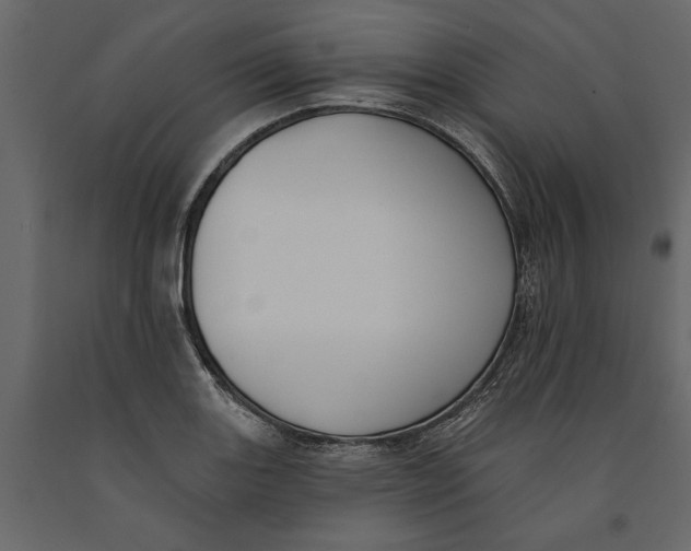 X0000091071131200708271210