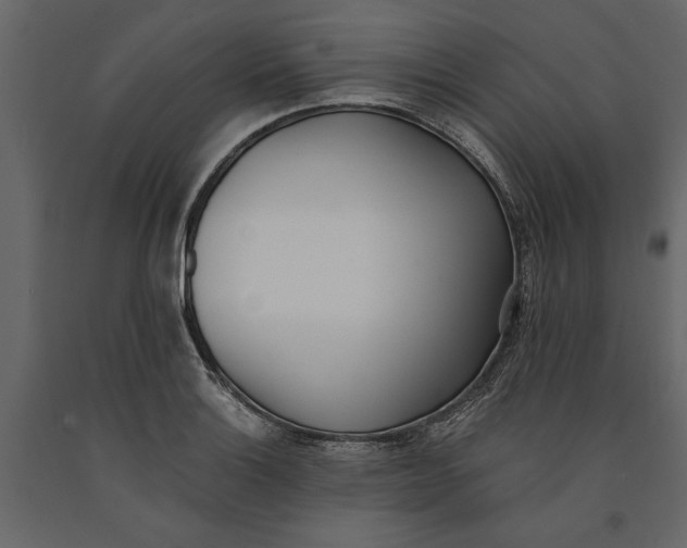 X0000091071132200708271210