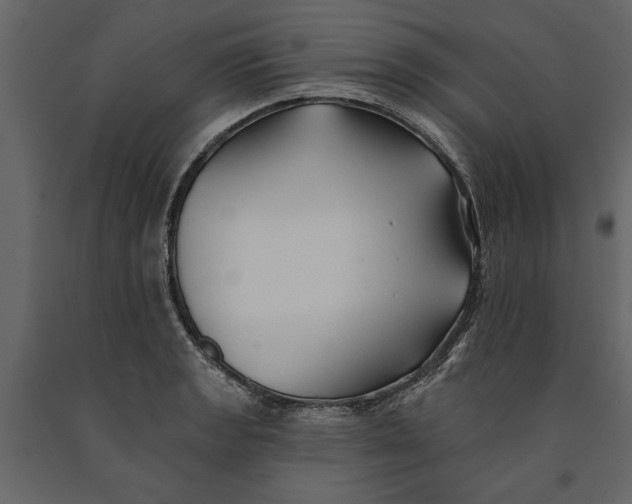 X0000091071133200708271210