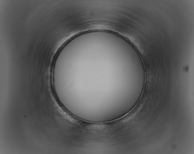 X0000091071134200708271210