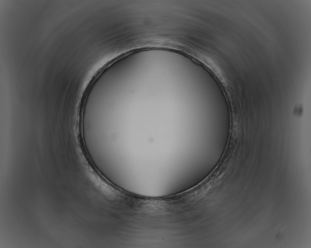 X0000091071136200708271210