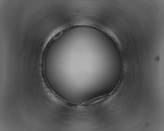 X0000091071138200708271210