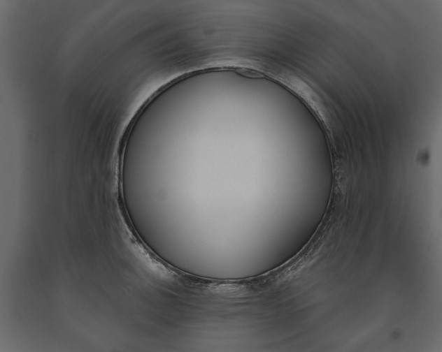 X0000091071140200708271210