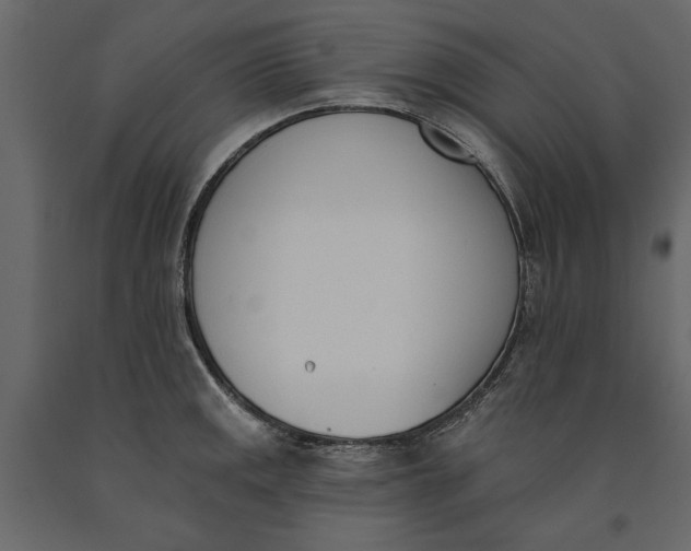 X0000091071141200708271210