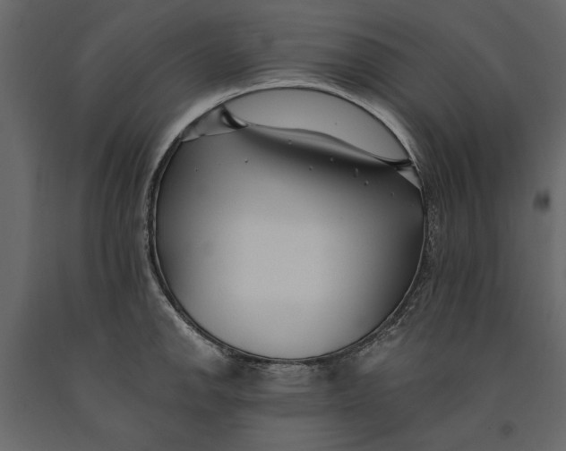 X0000091071142200708271210