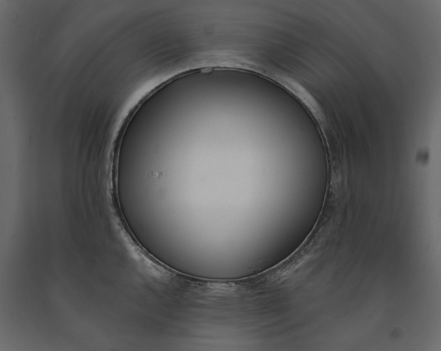 X0000091071144200708271210