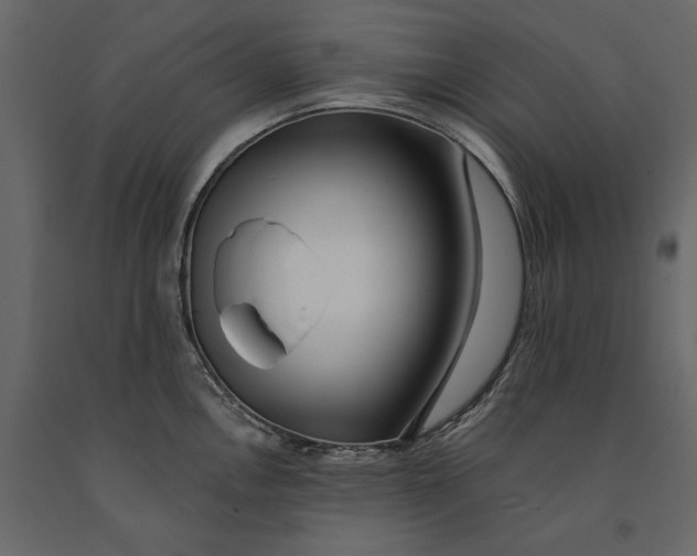 X0000091071146200708271210