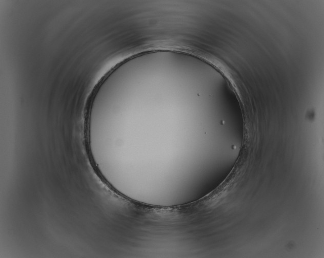 X0000091071147200708271211