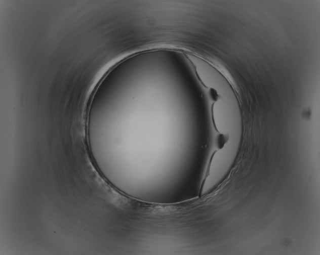 X0000091071148200708271211