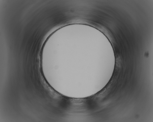 X0000091071150200708271211